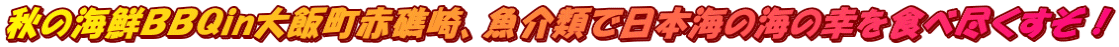 秋の海鮮ＢＢＱin大飯町赤礁崎、魚介類で日本海の海の幸を食べ尽くすぞ！