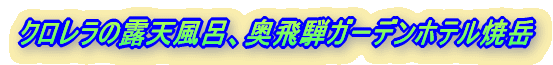 クロレラの露天風呂、奥飛騨ガーデンホテル焼岳