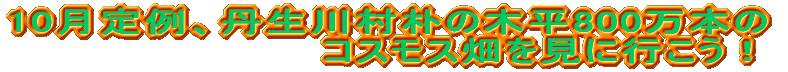 10月定例、丹生川村朴の木平800万本の コスモス畑を見に行こう!