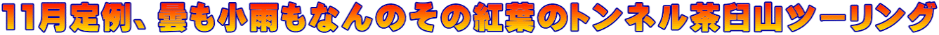 11月定例、曇も小雨もなんのその紅葉のトンネル茶臼山ツーリング