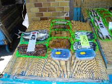 お店に並ぶ干物達