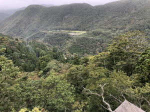 お堂からの眺め お堂からの眺め