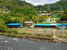 対岸の青い屋根がやなです