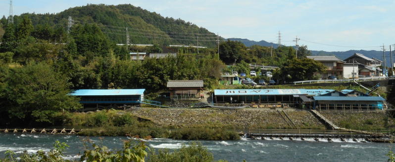 川口やな全景 川口やな全景